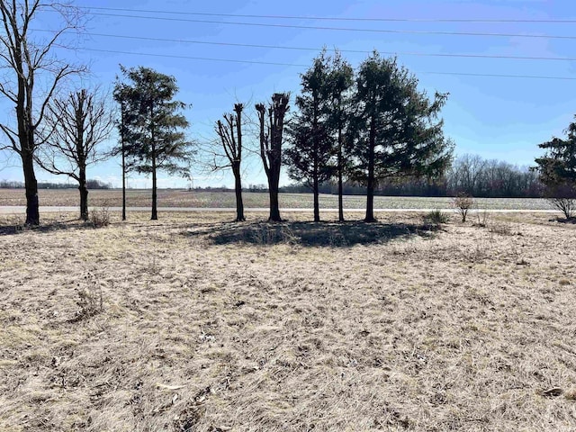 view of yard with a rural view