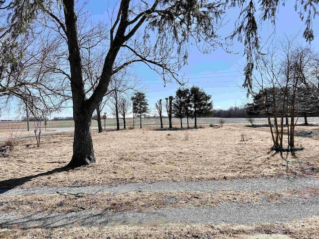 view of yard featuring a rural view