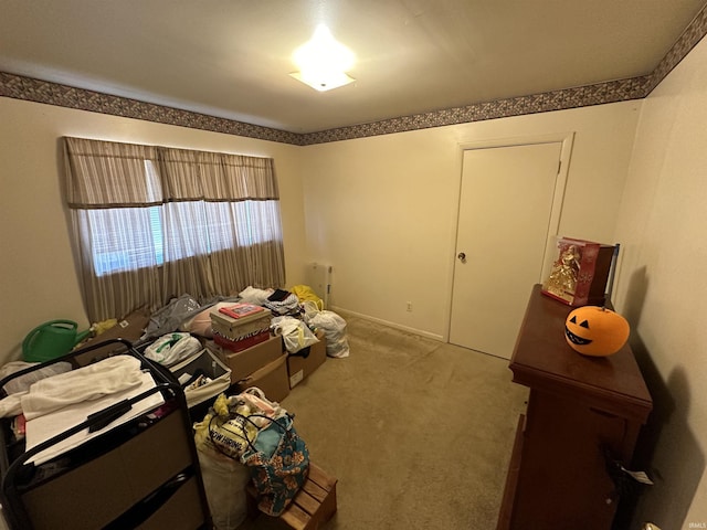 unfurnished bedroom with carpet floors