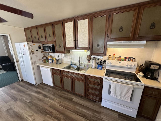 kitchen with under cabinet range hood, white appliances, a sink, light countertops, and dark wood-style floors