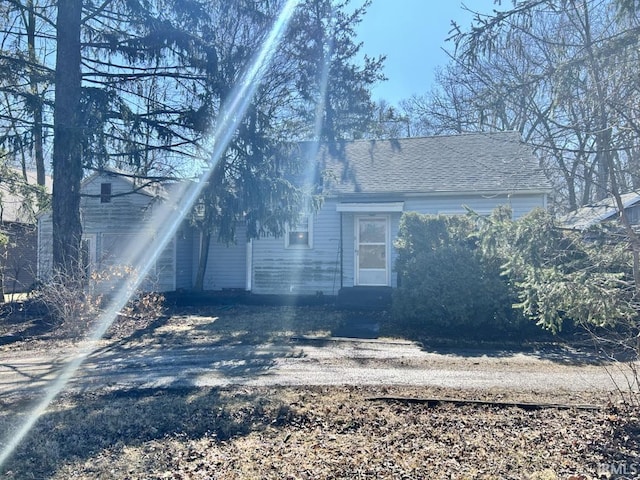 view of home's exterior with roof with shingles and dirt driveway