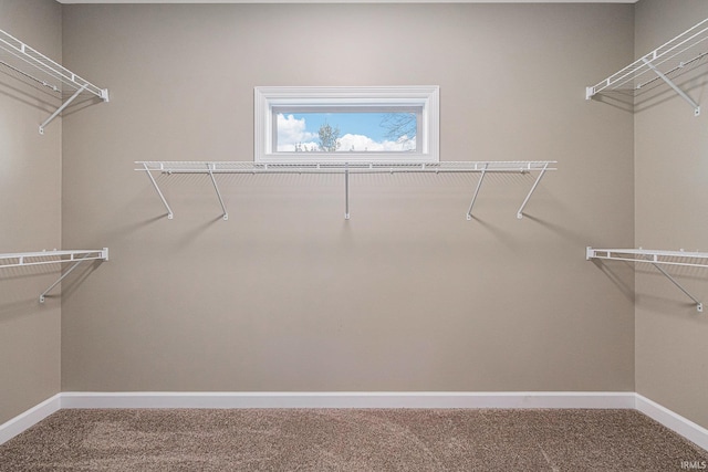 spacious closet with carpet floors