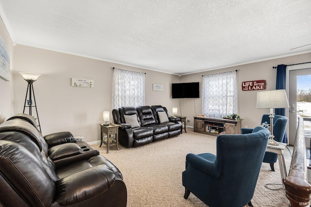 carpeted living area with crown molding, a textured ceiling, and baseboards