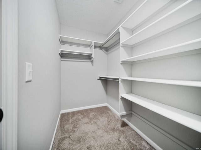 walk in closet featuring carpet