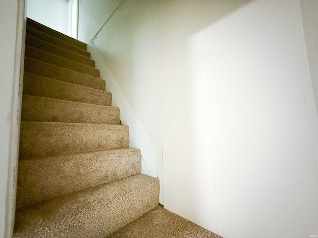 staircase with carpet