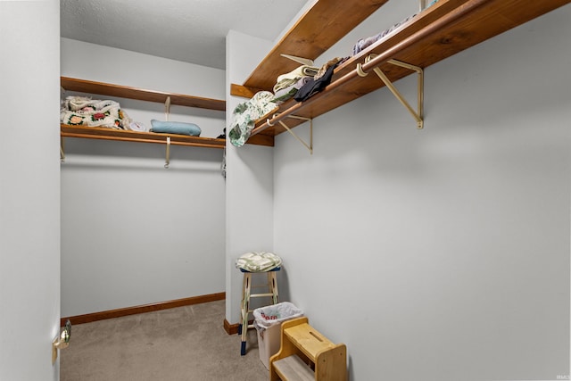 spacious closet with carpet floors