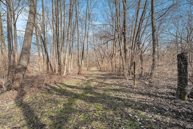 view of local wilderness