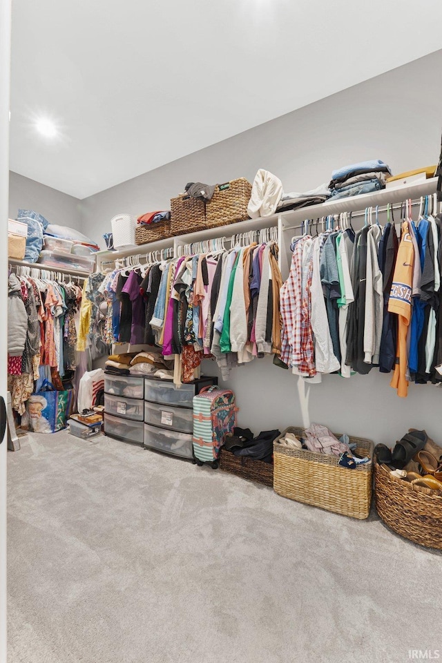 spacious closet with carpet