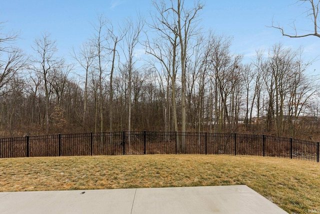 view of yard with a patio area and a fenced backyard