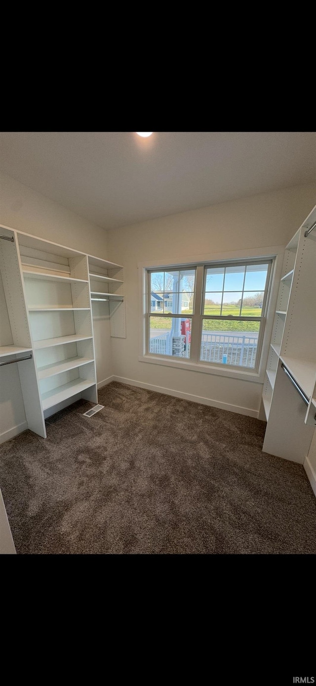 3337 Blarney Dr, South Bend, IN 46628 - spacious closet featuring carpet floors