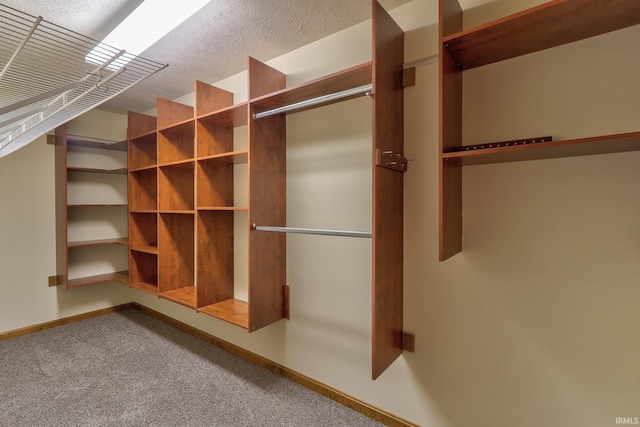 walk in closet with carpet