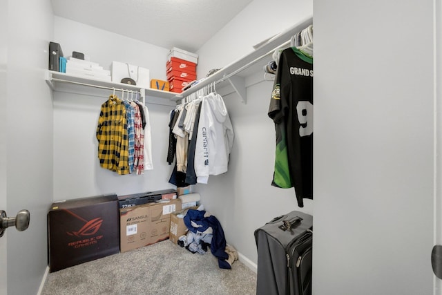 spacious closet featuring carpet floors