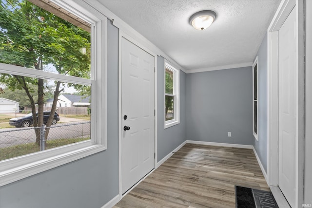 foyer entrance with a wealth of natural light, a textured ceiling, baseboards, and wood finished floors