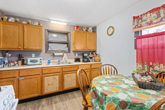 kitchen with light wood-style floors, stove, light countertops, and a sink