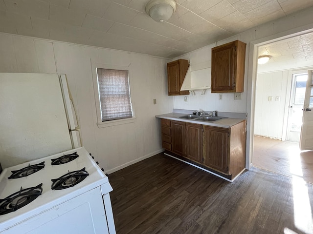 kitchen featuring dark wood finished floors, light countertops, brown cabinetry, a sink, and white appliances