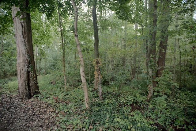 view of local wilderness with a forest view