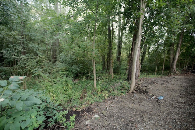 view of landscape featuring a wooded view