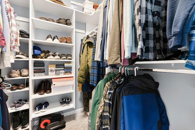 spacious closet featuring carpet floors