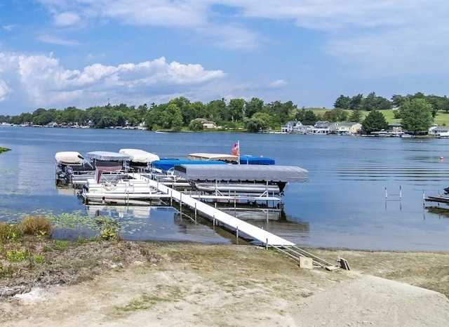 dock area with a water view