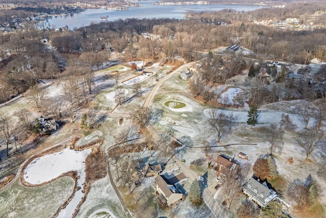 aerial view with a water view and a view of trees