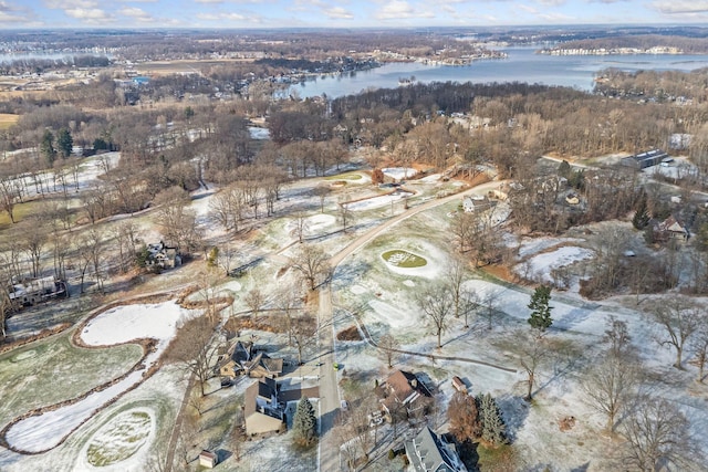 bird's eye view featuring a water view and a view of trees