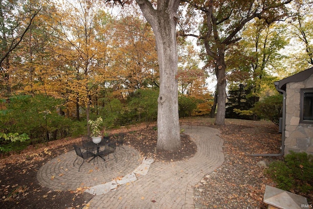 view of yard featuring a patio