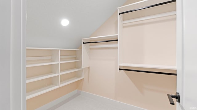 view of spacious closet