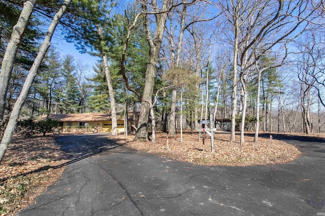 view of yard with driveway