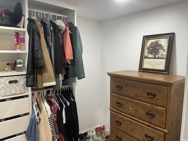 view of walk in closet