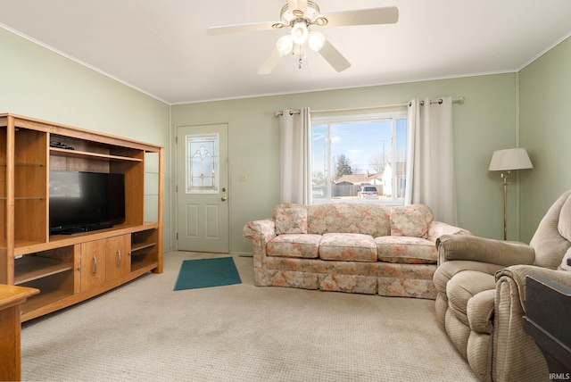 living area featuring a ceiling fan, crown molding, and carpet floors