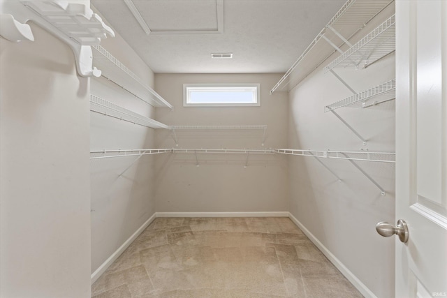 walk in closet featuring carpet and visible vents