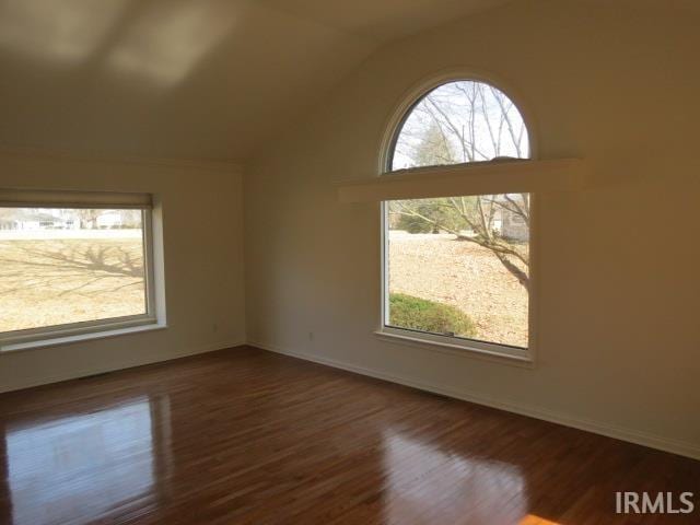 spare room featuring a healthy amount of sunlight, high vaulted ceiling, baseboards, and wood finished floors