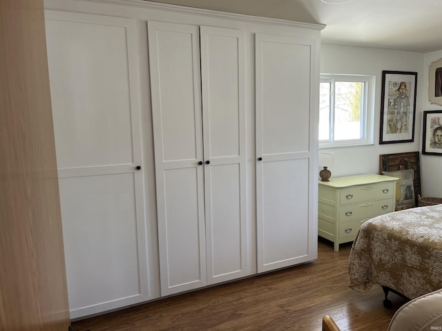 bedroom featuring dark wood-style floors