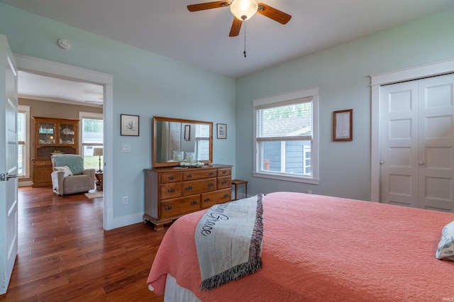 bedroom featuring dark wood-style floors, multiple windows, a ceiling fan, and baseboards