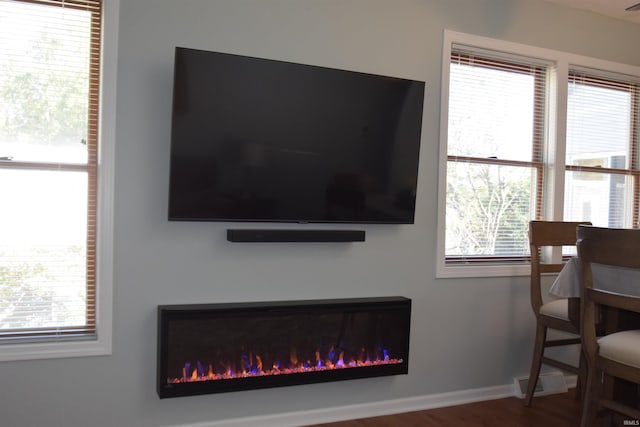 details featuring a glass covered fireplace, baseboards, and wood finished floors