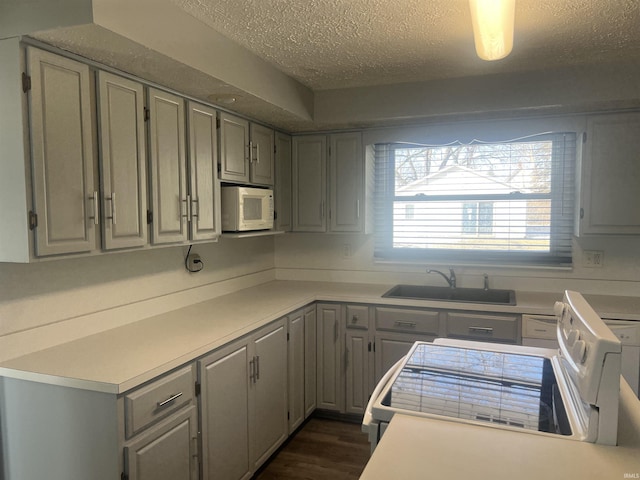 kitchen with white microwave, light countertops, a sink, and gray cabinetry