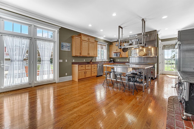 kitchen with crown molding, appliances with stainless steel finishes, light wood-style flooring, and a healthy amount of sunlight