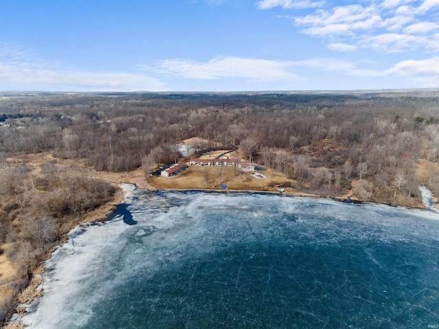 bird's eye view featuring a forest view