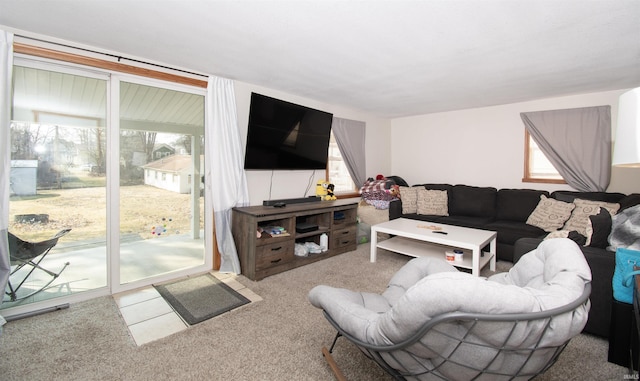 view of carpeted living area