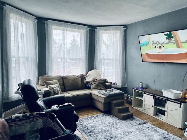 living room with wood finished floors