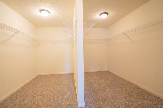 walk in closet with carpet flooring