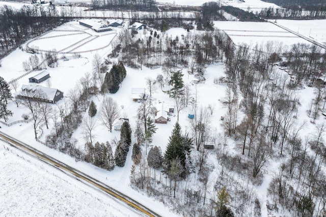 view of snowy aerial view