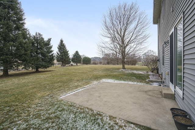 view of yard featuring a patio