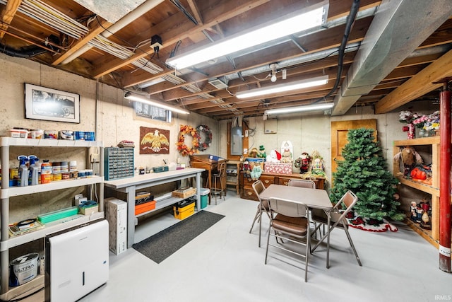 unfinished basement featuring electric panel