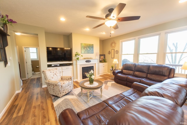 living room with a wealth of natural light, baseboards, and wood finished floors