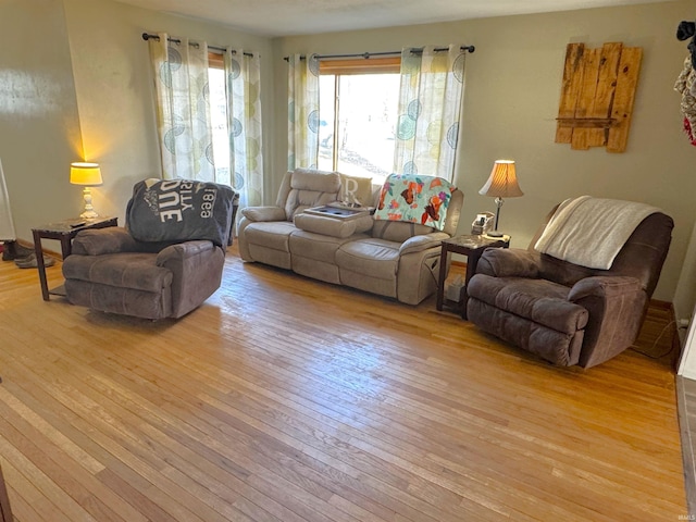 living room featuring hardwood / wood-style flooring