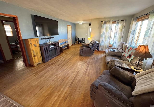 living room featuring light wood-type flooring