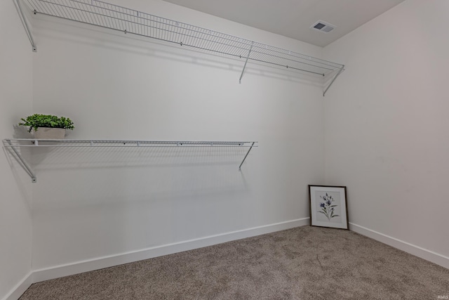 spacious closet with carpet flooring and visible vents