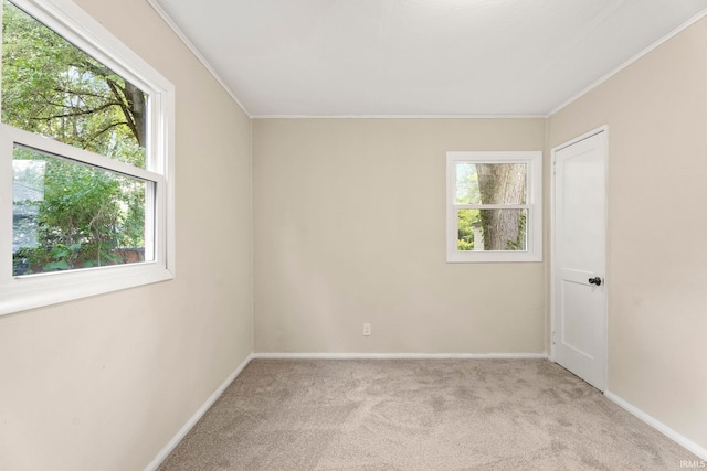 carpeted empty room with crown molding, baseboards, and a wealth of natural light