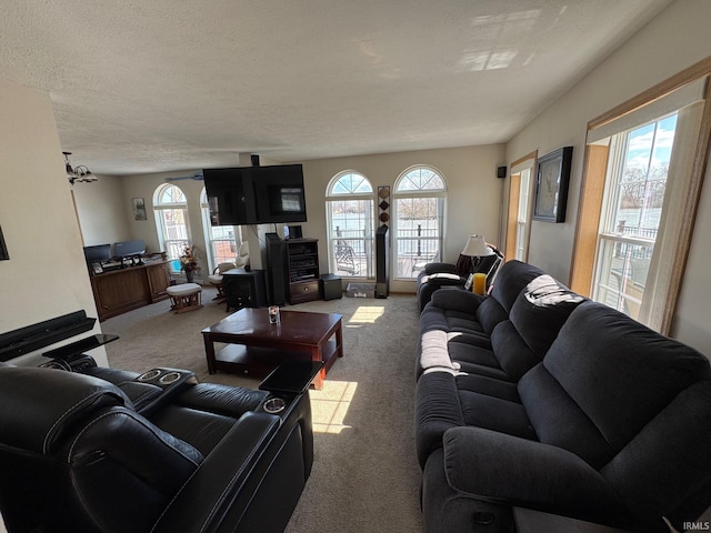 carpeted living room featuring a textured ceiling and a healthy amount of sunlight